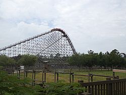 Cheetah cresting hill at Wild Adventures.jpg