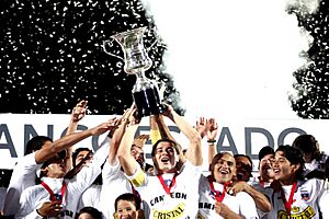 Colo Colo Campeón 2006