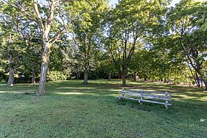 Constance Witherby Park overall view