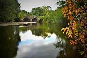 County Cork - Carrigaphocca Bridge - 20180914173121