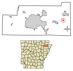 Location of Black Oak in Craighead County, Arkansas.