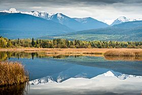 Cranberry Marsh, British Columbia.jpg