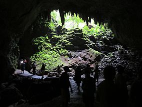 Cueva Clara, Puerto Rico, Entrance.jpg