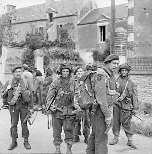 D-day - British Forces during the Invasion of Normandy 6 June 1944 B5058.jpg
