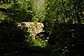 DevilsHopyardSP Bridge1604DownstreamSide