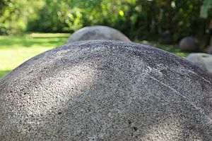 Diquis Stone spheres (15272809254)