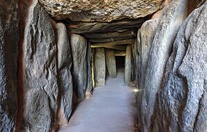 Dolmen de Soto de Trigueros (48732082068)