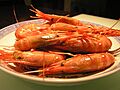 Drunkenshrimp