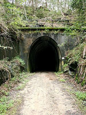 Dularcha Railway Tunnel from South (2009).jpg
