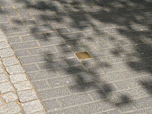 Else Hirsch stolperstein on sidewalk in Bochum