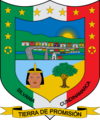 Official seal of Silvania
