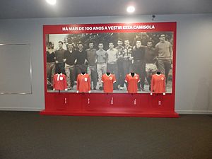 Evolution of the club shirts at Museu Cosme Damião