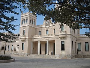 Fachada principal del Museo Arquológico Provincial de Alicante.jpg