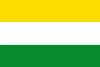 Flag of Sabanalarga, Antioquia