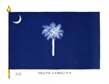 Flag of South Carolina (National Geographic, 1917)