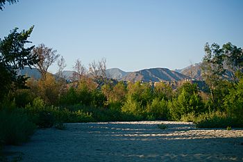 Hahamongna Watershed Park, Altadena, Pasadena area, Los Angeles, California 06