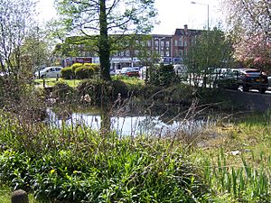 Ickenham pond - April 2011