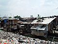 Jakarta slumlife66