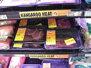 Kangaroo meat supermarket