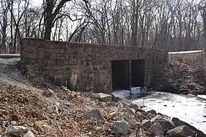 Knob Noster State Park Bridge