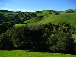 Lafayette Ridge - Briones Regional Park - San San Francisco.jpg