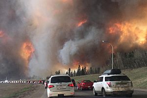 Landscape view of wildfire near Highway 63 in south Fort McMurray (cropped).jpg