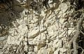 Limestone Eocene deposit at Sinj Stari grad - Dalmatia - Croatia IMG 20210820 083857