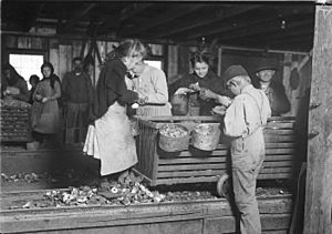 Little Lottie, a regular oyster shucker in Alabama Canning Co. She speaks no English. Note the condition of her shoes... - NARA - 523398