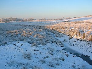 Loch Brand and drainage ditch