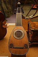 Lombardic mandolin with 12 strings (6 courses)