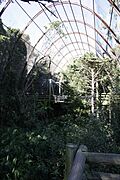 Melbourne Zoo aviary 1a
