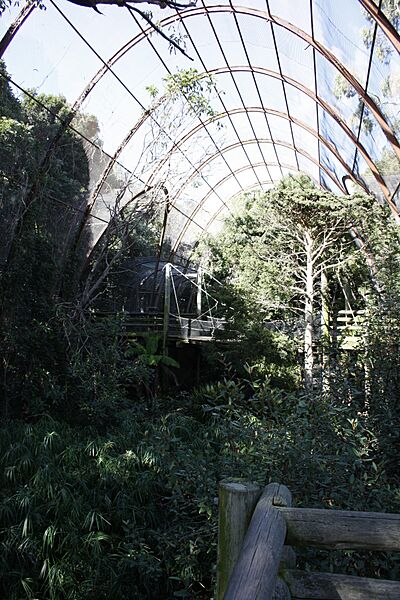 Melbourne Zoo aviary 1a