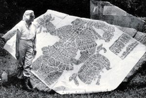 Merle with rice rubbing