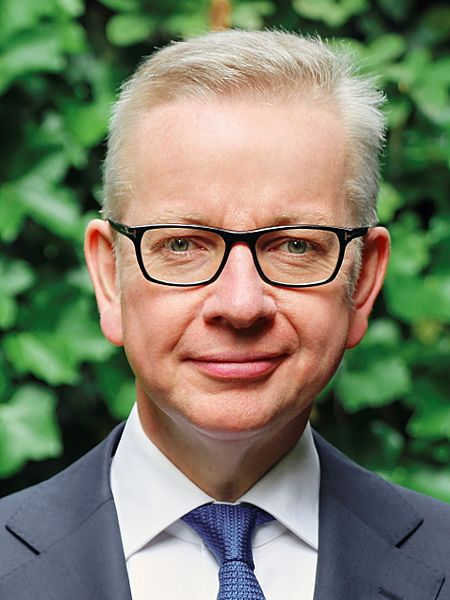 Michael Gove Official Portrait Cropped