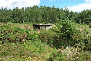Mineshaft near Bwlch yr Haiarn - geograph.org.uk - 222337