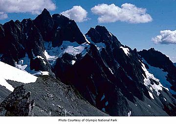 Mount Meany, Olympic National Park.jpg