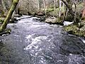 Nant Bachawy - geograph.org.uk - 695312
