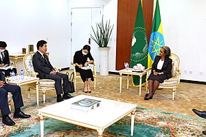 National Assembly Speaker Kim Jin-pyo Meets with Ethiopian President Sahle-Work Zewde 20221009 (03)