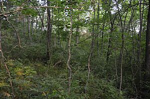 National Road bridge site near Clark Center
