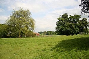 North Ormsby Priory site - geograph.org.uk - 179604