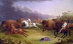 Paul Kane's oil painting Half-Breeds Running Buffalo, depicting a Métis buffalo hunt on the prairies of Dakota in June 1846.