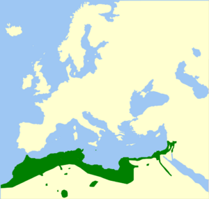 Pseudepidalea boulengeri genus range Map.png