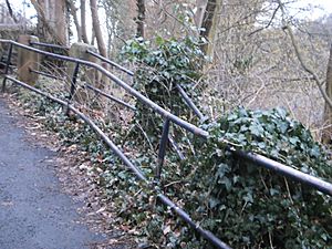 Redundant second railing additional to historic unstable fence in Marburg above Wilhelm-Roser-Strasse, Grassenberg 2016-03-05
