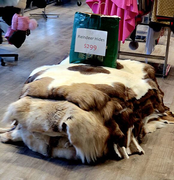 Reindeer hides for sale