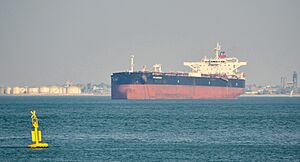 Rio Arauca at the oil terminal in Lisboa (2017)