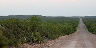 Road through Tamaulipan thornscrub 2, Webb County, Texas, USA (10 June 2016).jpg