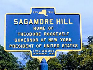Sagamore Hill Historical Marker 20211014 175302978