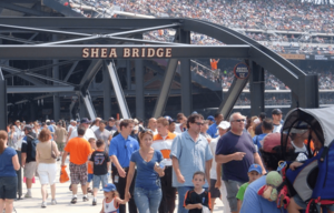 Shea Bridge 2012