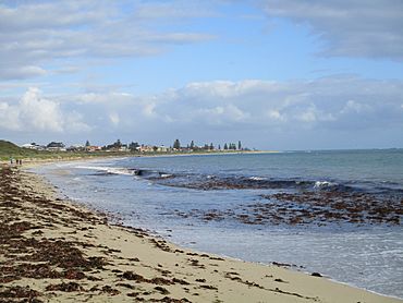 Shoalwater Bay, Western Australia, July 2019 07.jpg