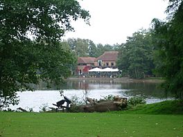 A small lake surrounded by trees with a large house on the far side